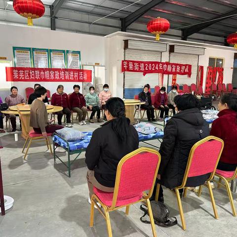 【嬴在羊里】莱芜区巾帼家政培训走进羊里街道仪封村