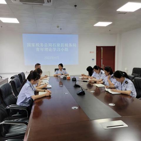 【石泉税务政治机关建设】学习有为·青春有你——石泉县税务局团支部召开六月份青年理论小组学习会