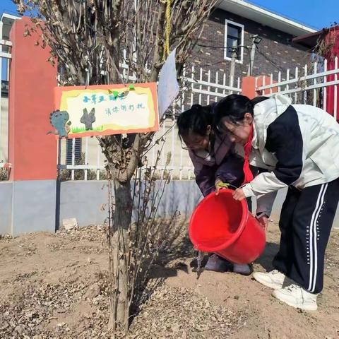 绿荫树下话雷锋，暖阳心中种德行——东引小学植树节特别活动