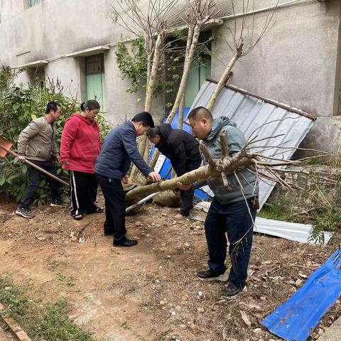 “双手播种希望，绿色点亮未来”——湛江市湖光中学开展“我为我家种棵树”植树活动