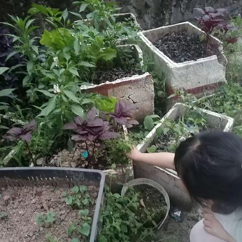 用户7639446的简篇
