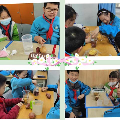 【太元实践活动】实践出真知，动手促成长——西安市太元路学校小学部五年级数学组实践作业展示