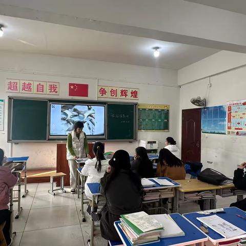 研教相长促提升，“精”彩绽放绘新篇 ——旅游教研组