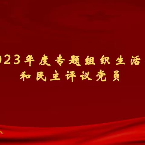 中共邯郸市委机关幼儿园党总支及下设党支部2023年度专题组织生活会﻿和民主评议党员