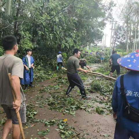 南丰镇开展台风“摩羯”灾后群众性爱国卫生运动