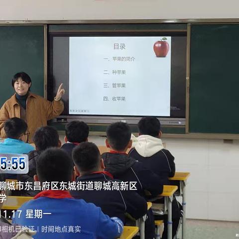 苹果的成长之旅——珍惜每一颗果实