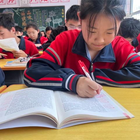 【阅燃青春 读享年华】让阅读为青春增色——临沂第二十中学双龙校区八年级学生大阅读活动
