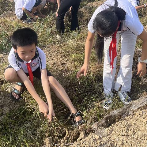 落实“双减”新举措，劳动教育正当时——永红小学劳动教育实践活动