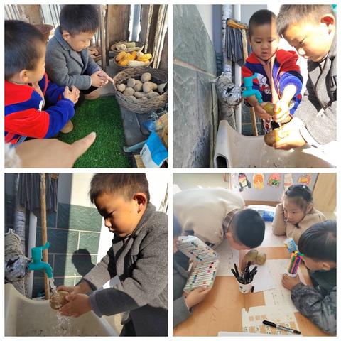 赵各庄学区西角幼儿园～土豆奇遇记