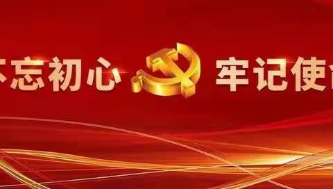 弘扬伟大建党精神，庆祝中国共产党成立102周年主题党日活动