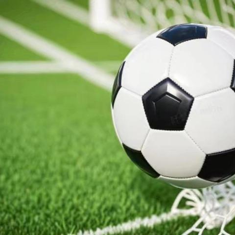 逐梦绿茵，乐享运动 —刘李庄镇总校小学足球赛圆满落幕