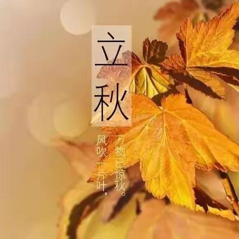 【二十四节气】 风吹一片叶 万物已惊秋——西安莲湖油漆厂幼儿园