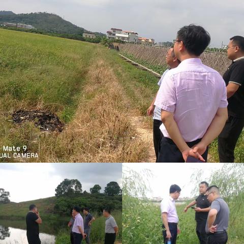 局领导带队到镇隆开展粮食生产等工作督导