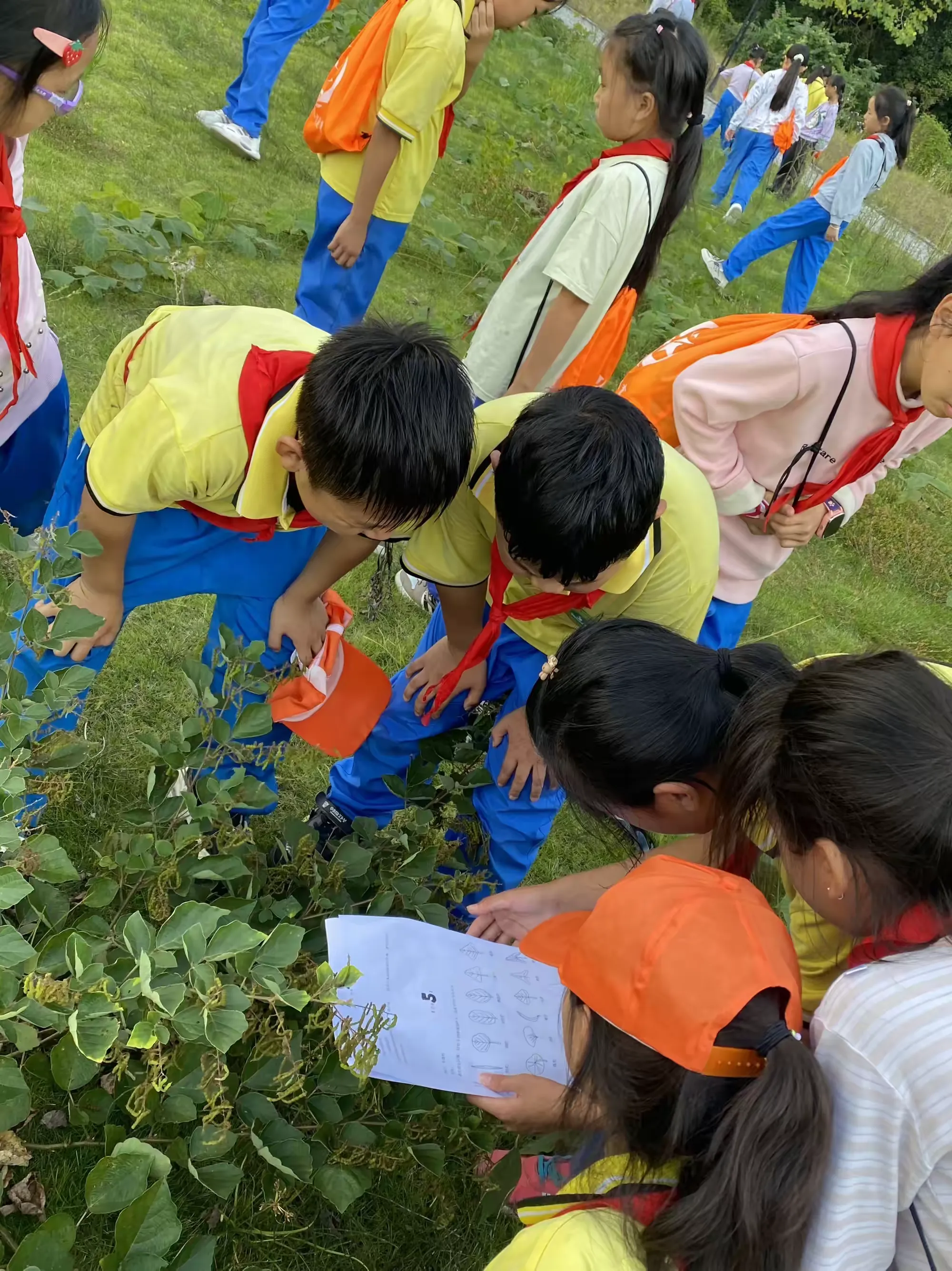 小学生研学实践活动