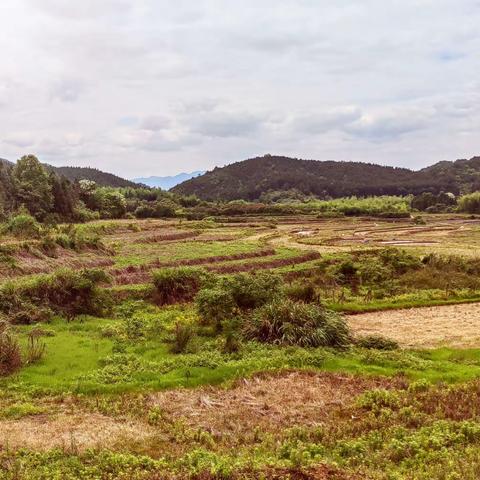 武夷山九曲溪旅行