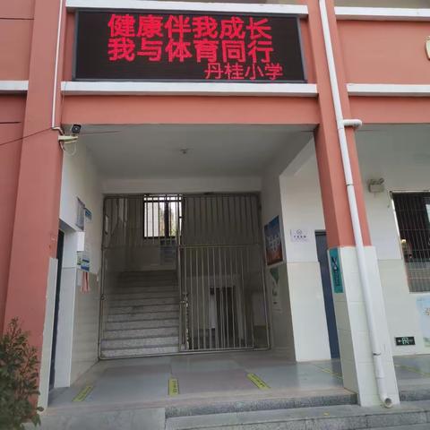 桐木镇丹桂小学冬季运动会