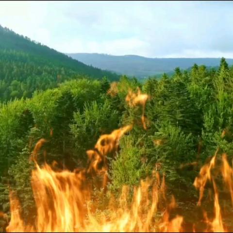 海伦市护林林场森林防火宣传