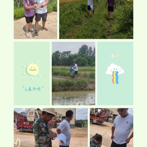 詹圩镇曾家村开展“秸秆禁烧普法宣传 共建美好生态家园”活动