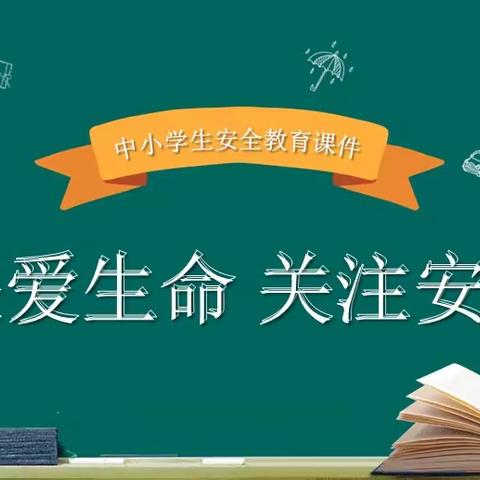 道路千万条，安全第一条。育才光彩小学安全教育美篇。