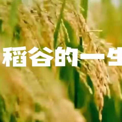 永旺农场 导师带队行前说明