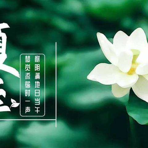 夏至到，盛夏始——二十四节气之夏至