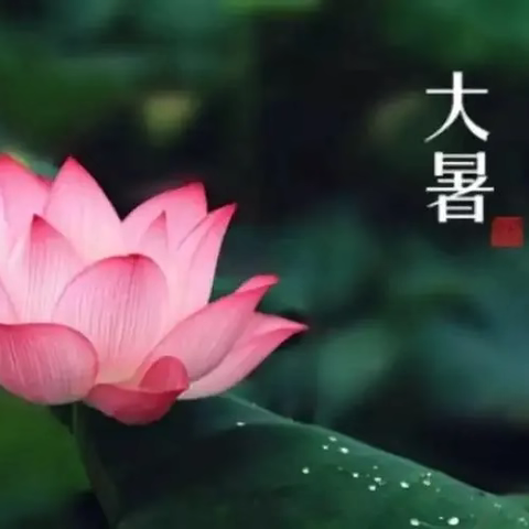 大暑至，夏正浓——二十四节气之大暑