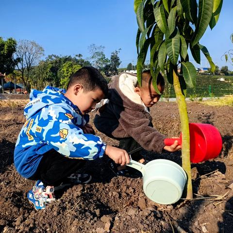 【植树节】“播种绿色，拥抱未来”﻿
