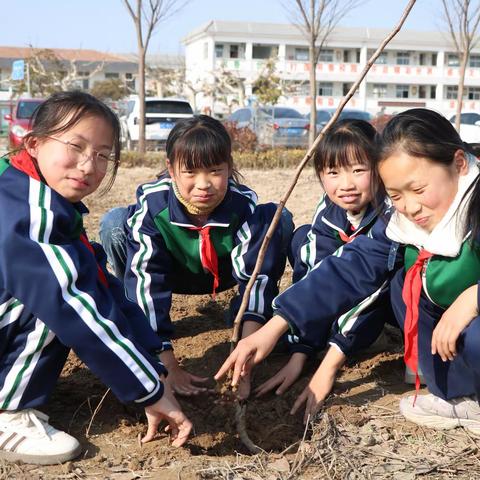 拥抱春天，植此青绿——丰县孙楼街道中心小学学雷锋系列之植树节活动