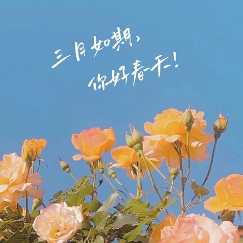 推动公共卫生服务高质量发展--衡东县举办基层卫生业务能力提升培训班！