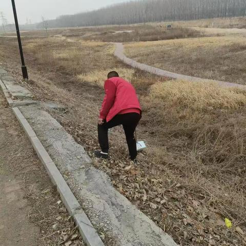 西苑街道办事处开展河道清理整治工作