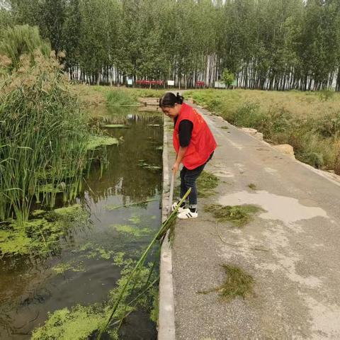 西苑街道开展河道排查整治工作