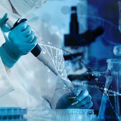 江门蓬江区亲子鉴定地址