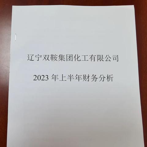 关于双鞍集团化工公司2023年上半年财务分析相关工作