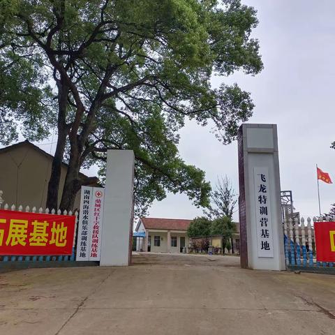 2023“飞龙特训营基地”暑期夏令营火热报名中…