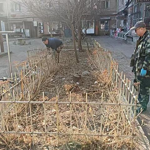 红街社区联合香开物业开展春季环境整治 共建整洁家园