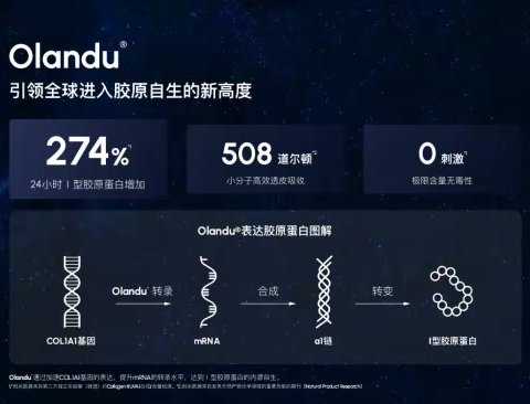 世界新发现胶原自生成分Olandu--抗老新选择