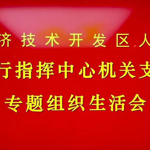 经开区法院执行指挥中心机关支部召开专题组织生活会