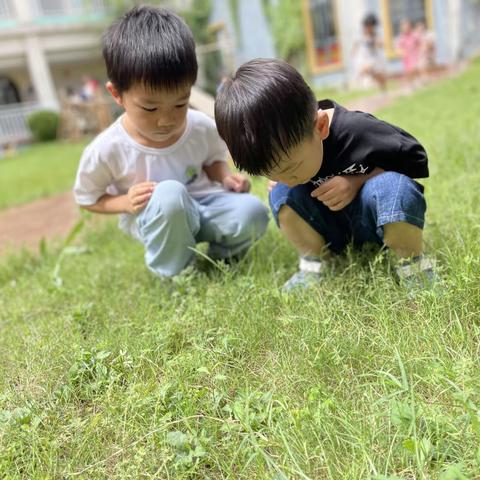 拥抱夏天⛱️⛱️快乐成长—-城北生态幼儿园青苗一班