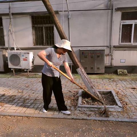 垭口街道朝阳社区开展“全民创文创卫，共建美好家园”志愿服务活动