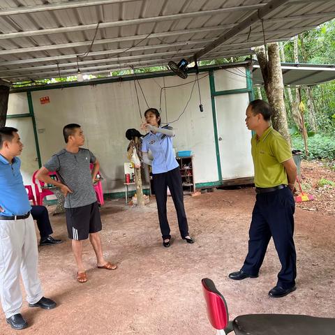 海南环岛旅游公路儋州段东城、光村巡查发现问题整治情况