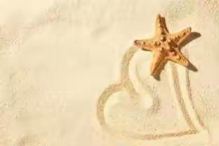 小沙池  寻宝石