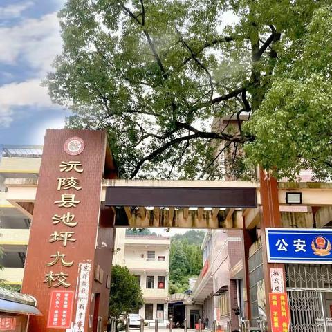 袅袅炊烟起，缕缕野炊情