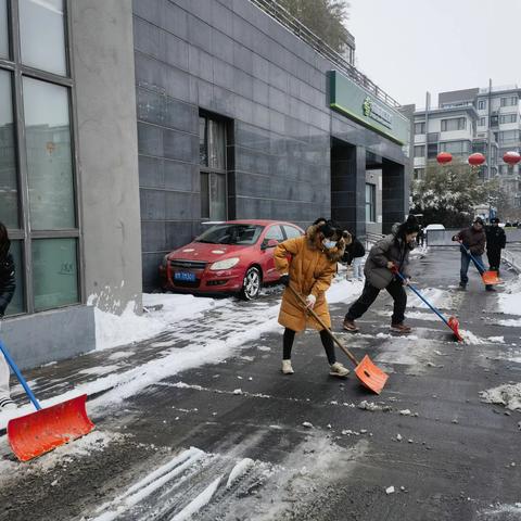 党建引领 扫雪除冰保出行——博雅西园社区扫雪除冰行动