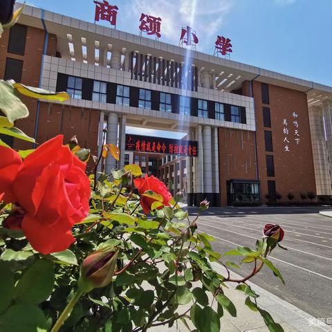 “双减”落地有声，“闯关”乐趣无穷---高新区商颂小学一、二年级数学趣味口算活动