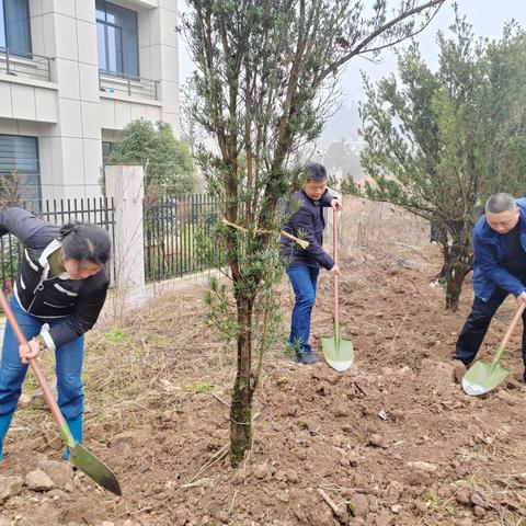 植树造林添新绿 绘就莹乡新画卷