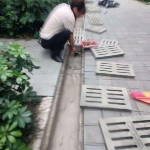 南光城市花园环境卫生周报