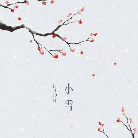 “幼”见小雪，温暖迎冬——银丰幼儿园小雪节气主题活动