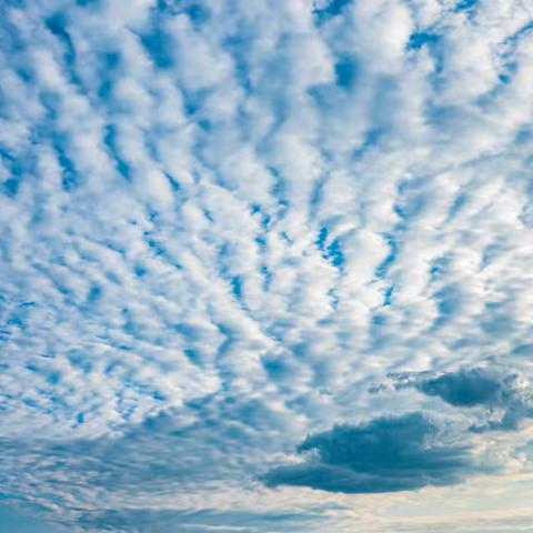 用户7692869的简篇