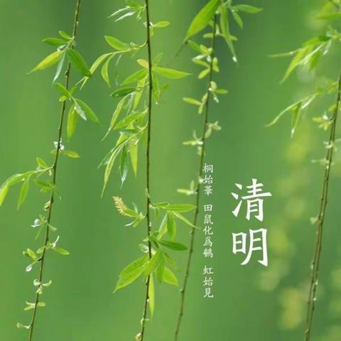 清明时节——踏青等系列活动