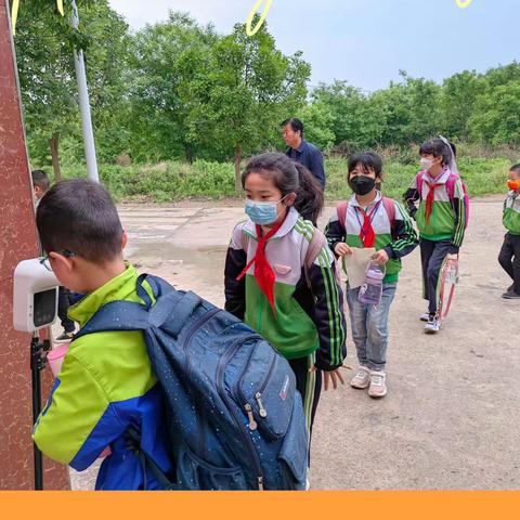 五月如花·绽放心扉